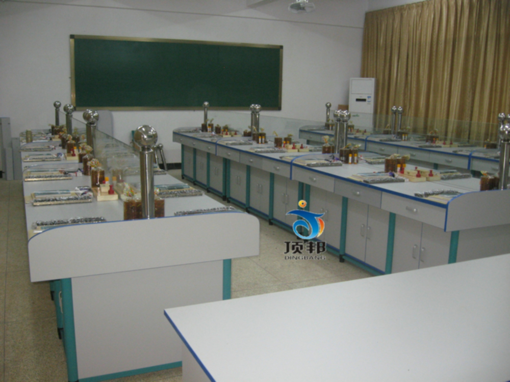 ؔ������