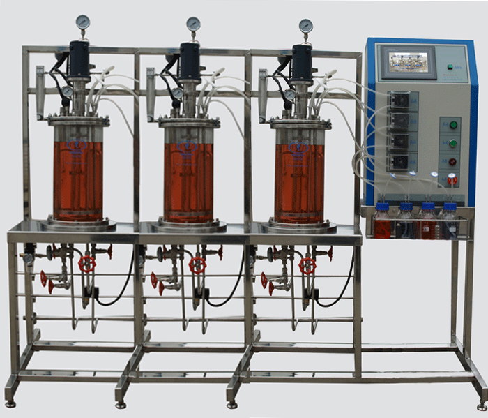 多聯平行機械攪拌玻璃發酵罐