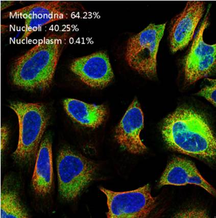 �����|����u��