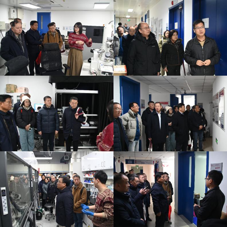 image1.jpeg image1.jpeg